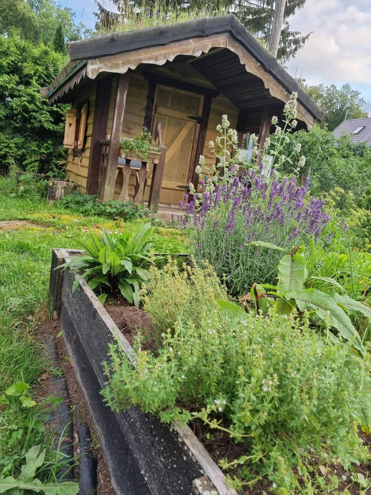 Norwegian Saunahouse Haapse Exterior photo
